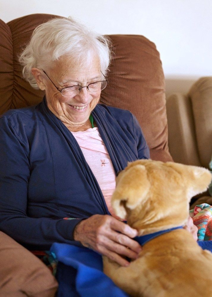 Therapeutic Canine Robots