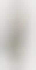 Minimalist Vision