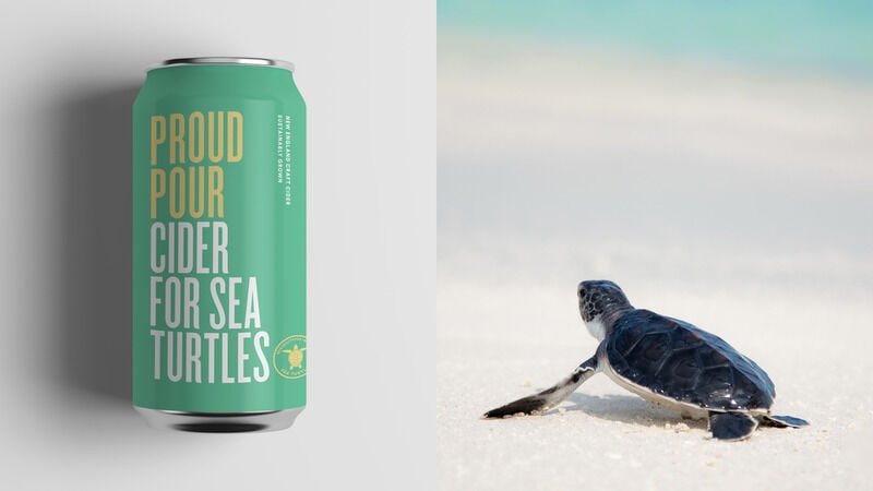 Turtle-Saving Ciders