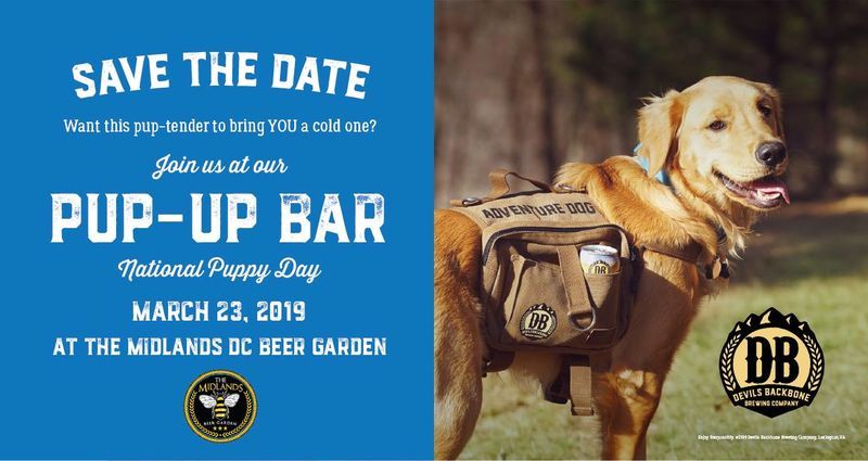 Pop-Up Puppy Bars