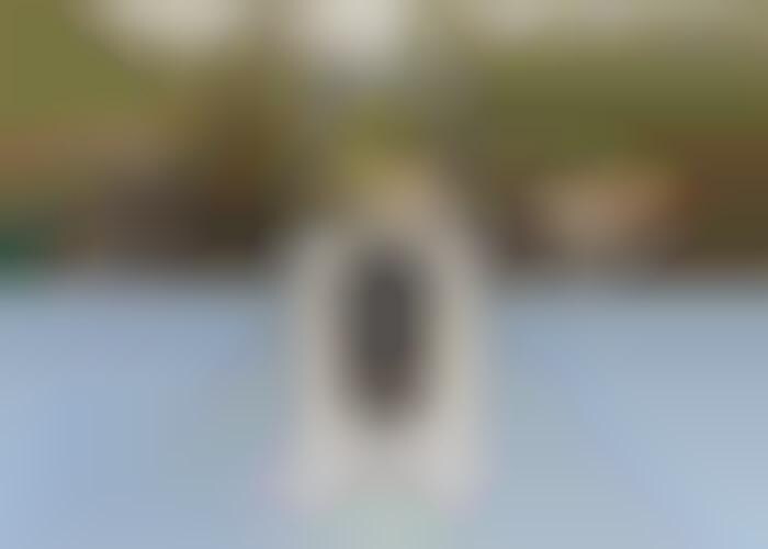 App-Free Smart Locks
