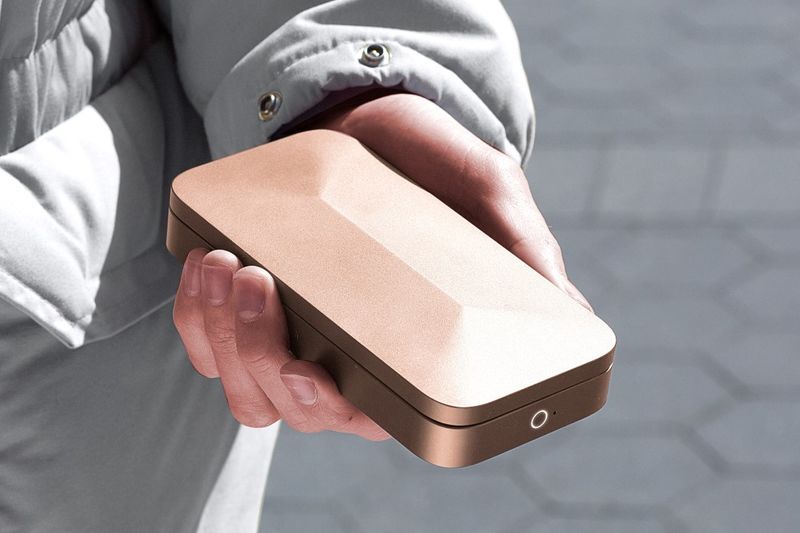 Protective Biometric Wallets