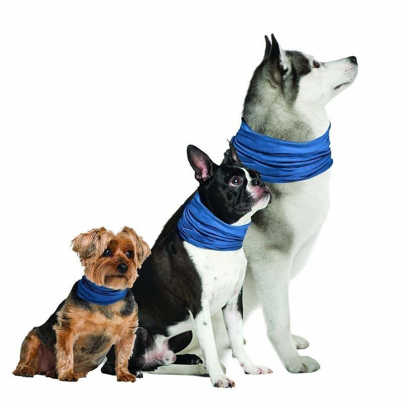 Cooling Canine Collars