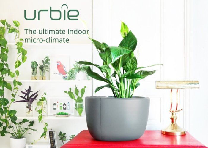 Planter-Integrated Air Purifiers