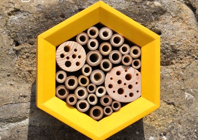 Haute Flying Insect Hotels