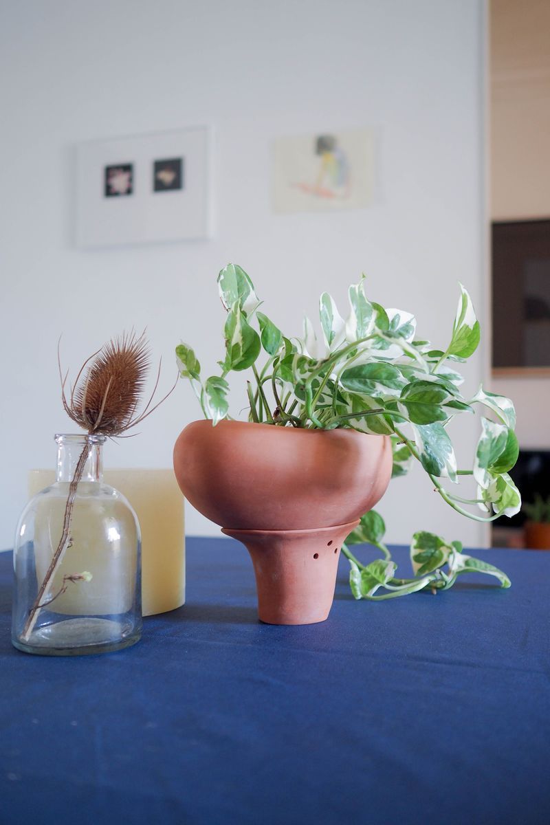 Minimalist Smart Plant Pots