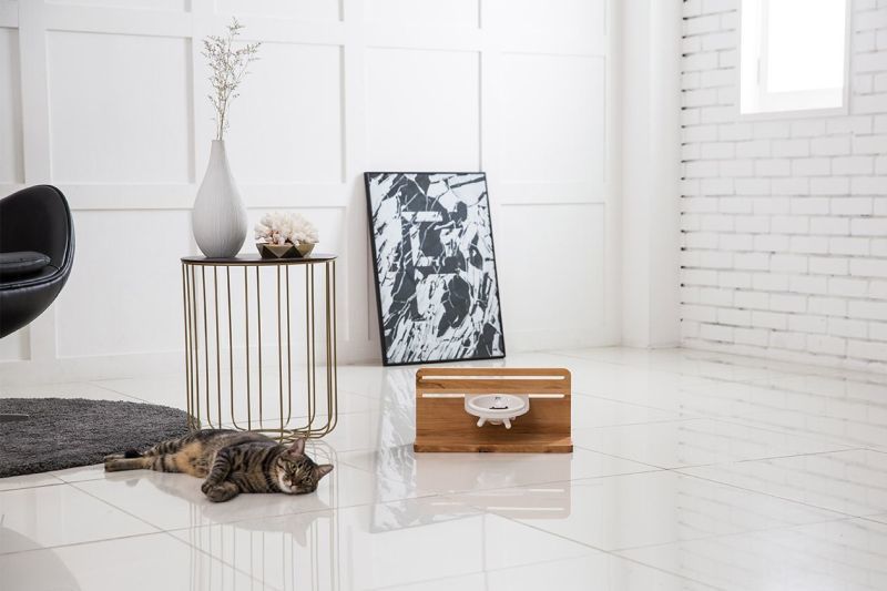 Elevated Feline Dining Sets