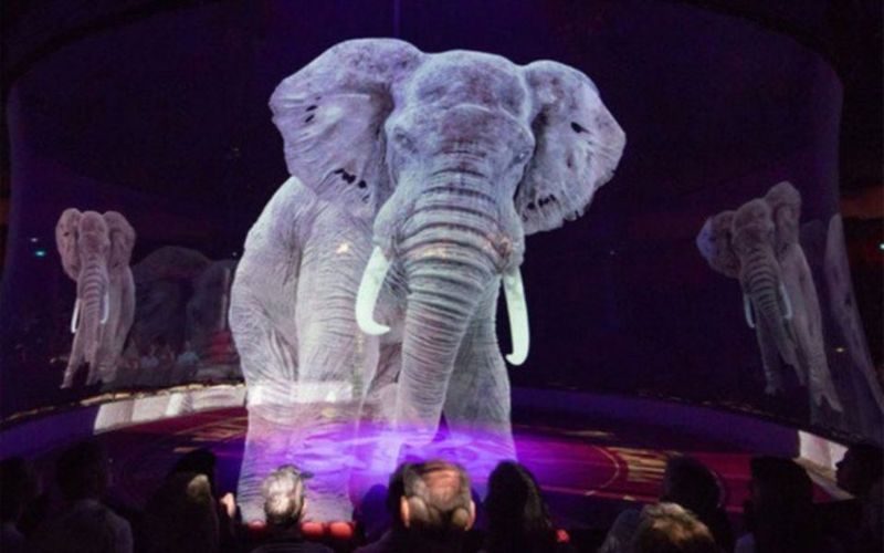 Holographic Circus Animals : cruelty free circus