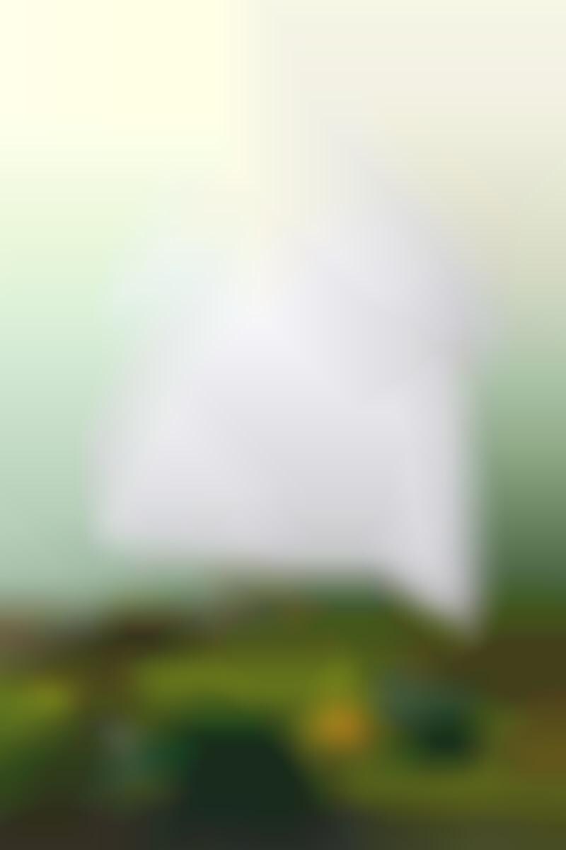 Eco-Friendly Eucalyptus Comforters