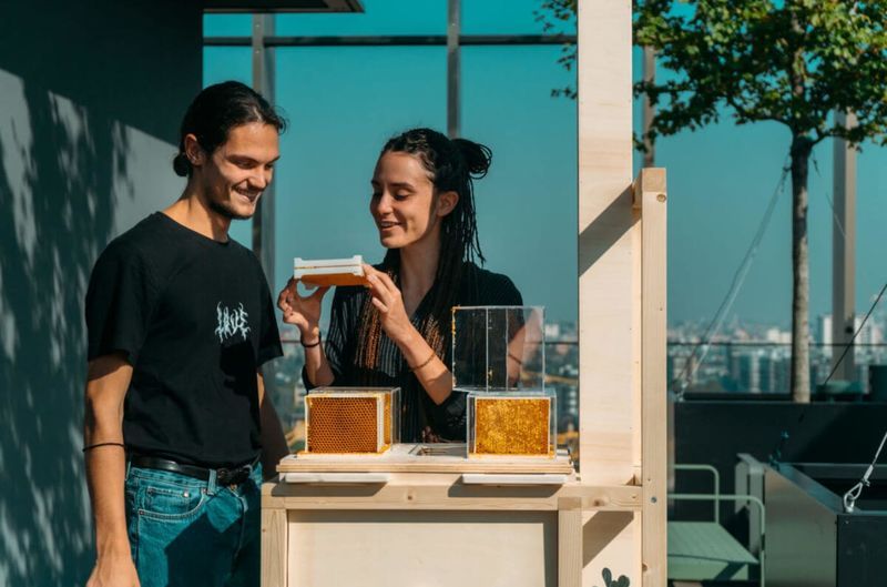 Urban-Friendly Beekeeping Equipment