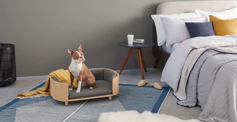 Design-Forward Pet Furniture
