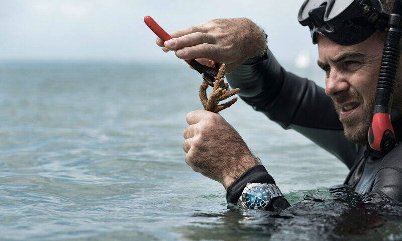 Oris great barrier online reef limited edition iii