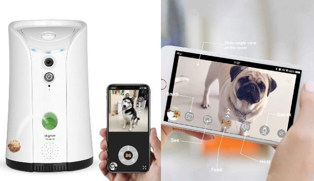 Treat-Dispensing Pet Cameras