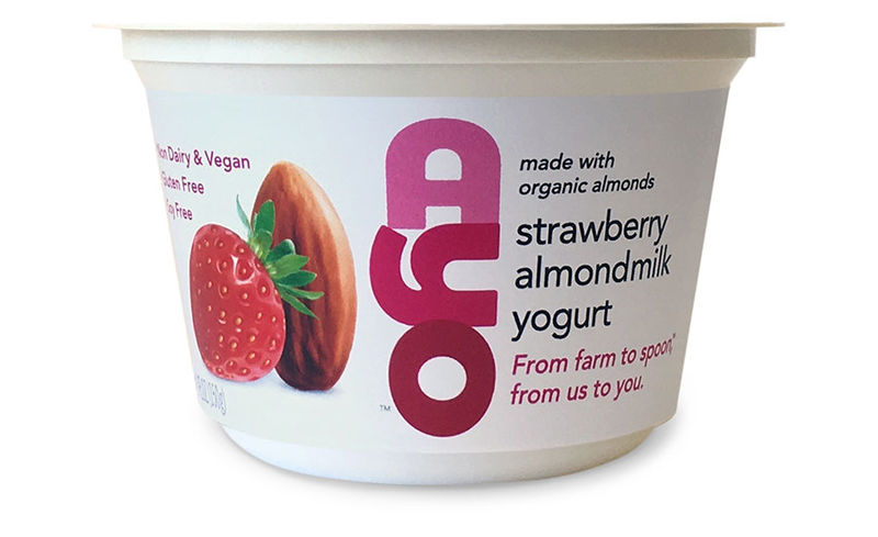 Flavor-Rich Plant-Based Yogurts