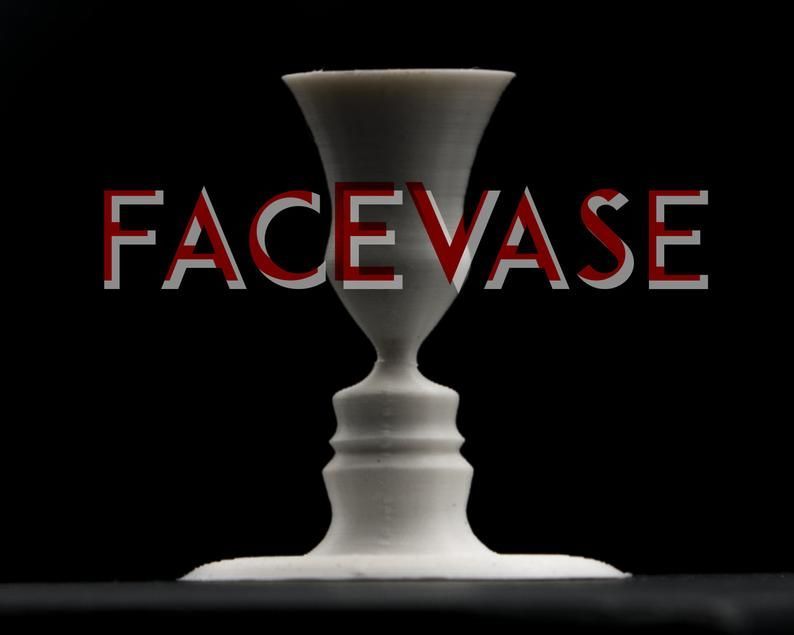 Custom Optical Illusion Vases