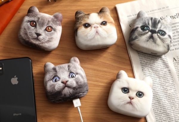 Feline-Themed Phone Chargers