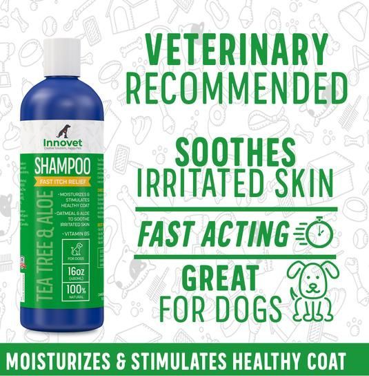 All-in-One Dog Shampoos