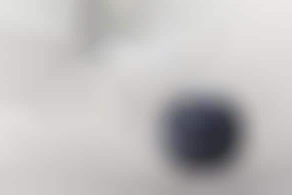 Smart Speaker Beta Programs