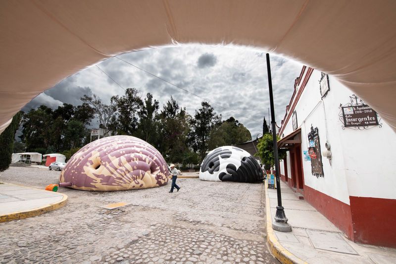 Bean-Like Inflatable Structures