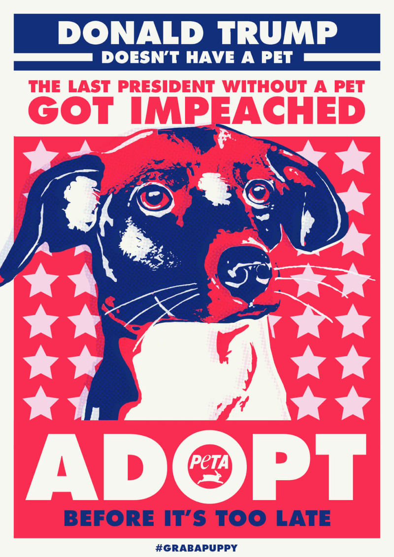 Political Pet Adoption Campaigns