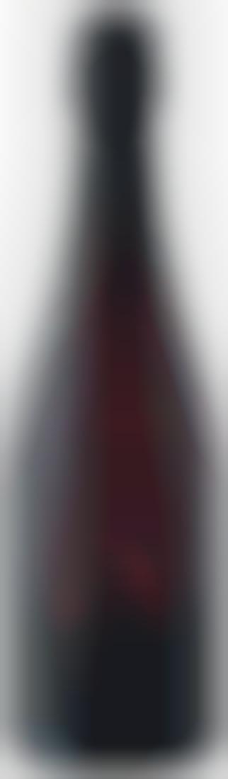 Sparkling Red Wines
