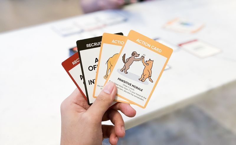 Wildlife Rescue Card Games
