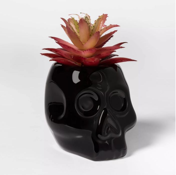 Spooky Skull Succulents