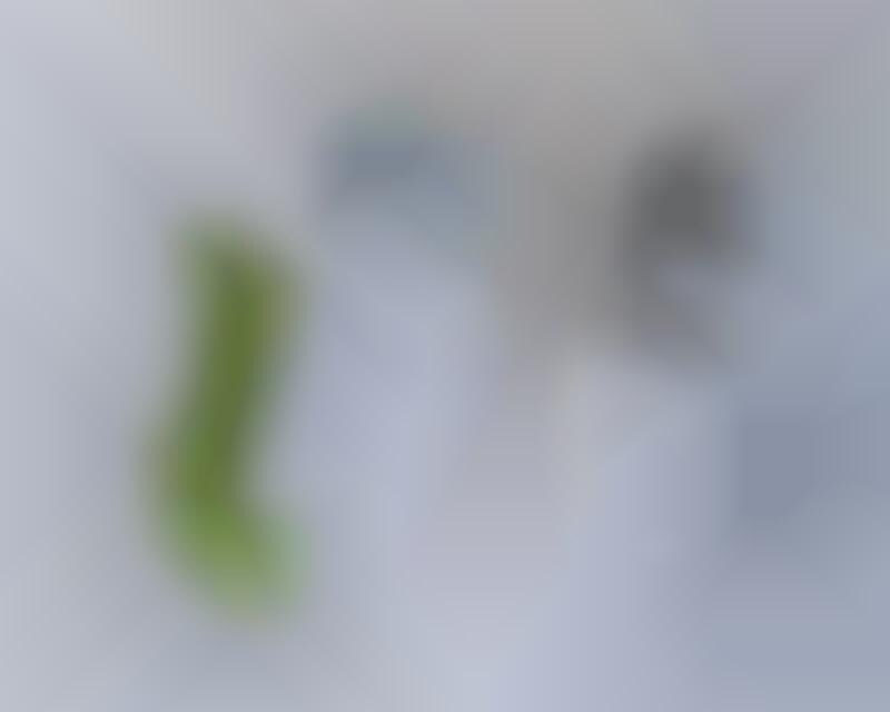 Instant Matcha Sticks