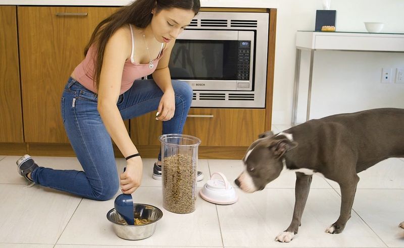 Vacuum-Sealed Pet Food Containers