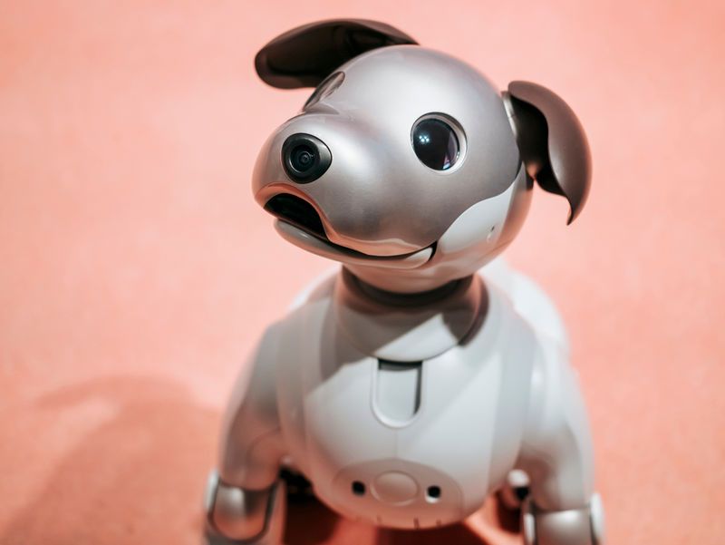 Programmable Robot Pets