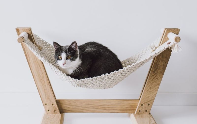 Hanging Macrame Cat Beds