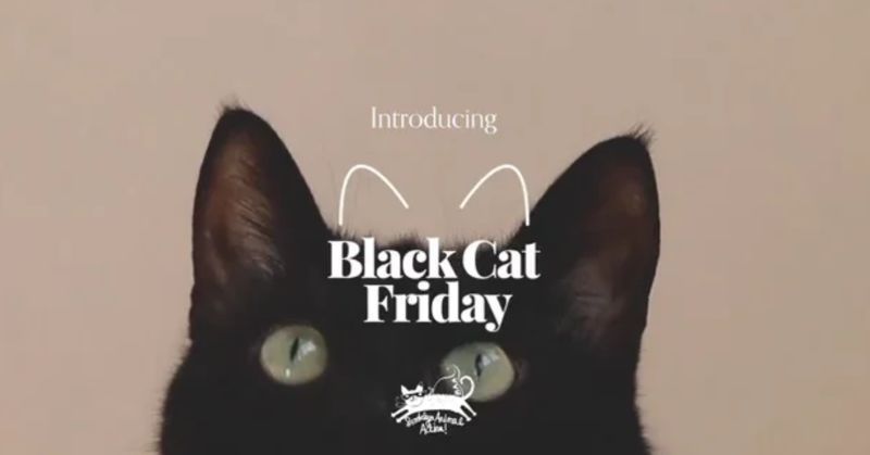 Black Cat Adoption Campaigns