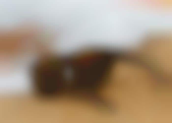 Collapsible Adventurist Eyewear