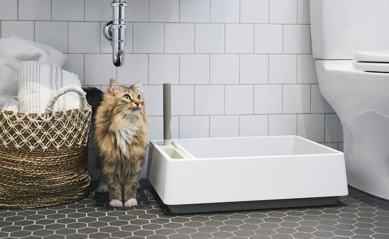 All-in-One Litter Boxes