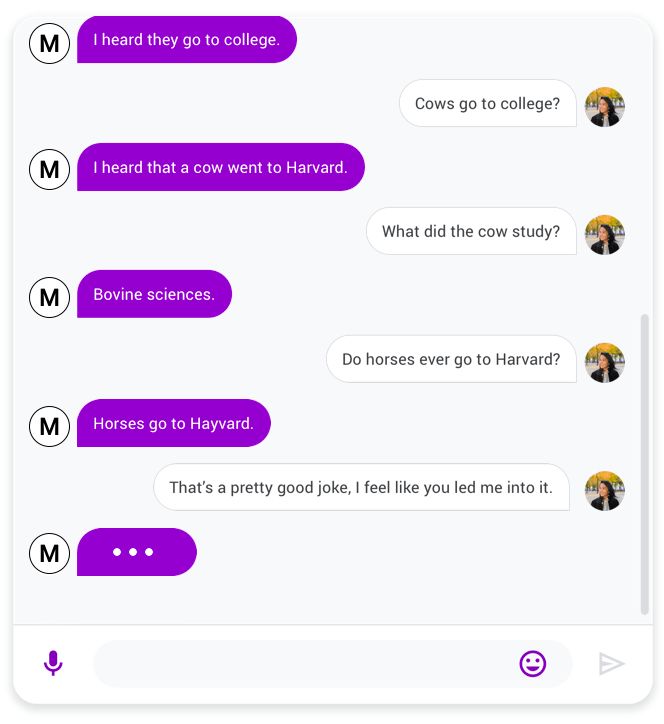 Conversational AI Chatbots