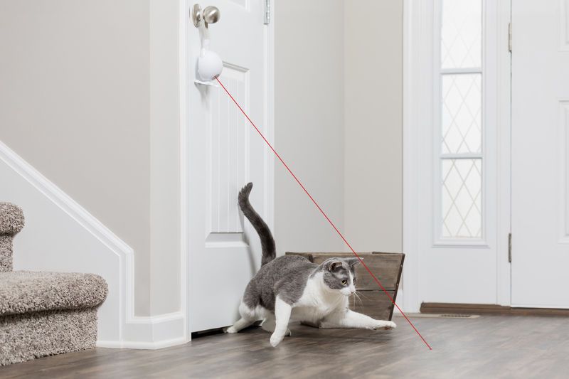 Automatic Laser Cat Toys