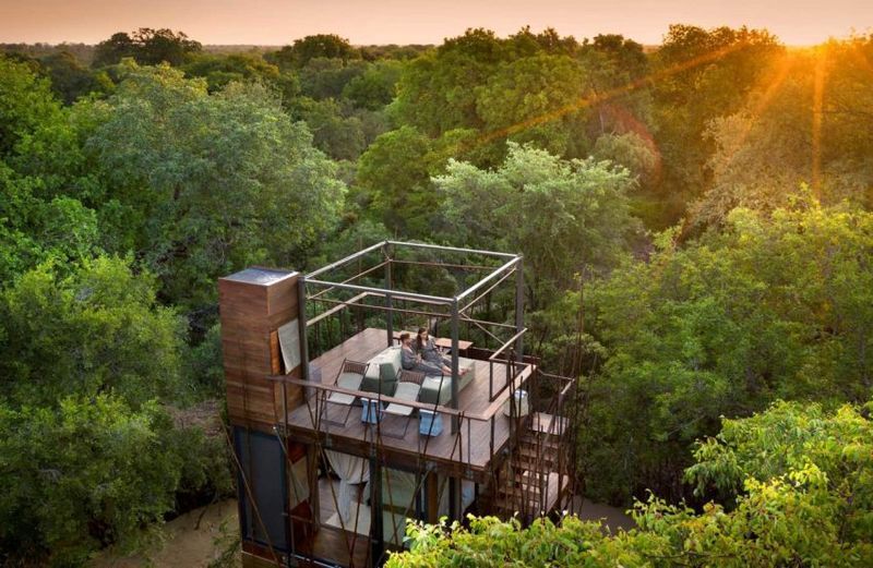 Spacious South African Treehouses