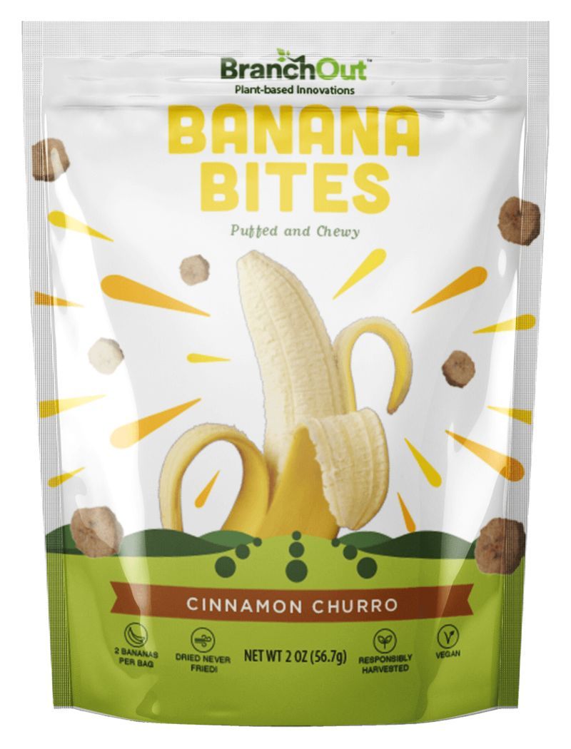 Chewy Banana Bites