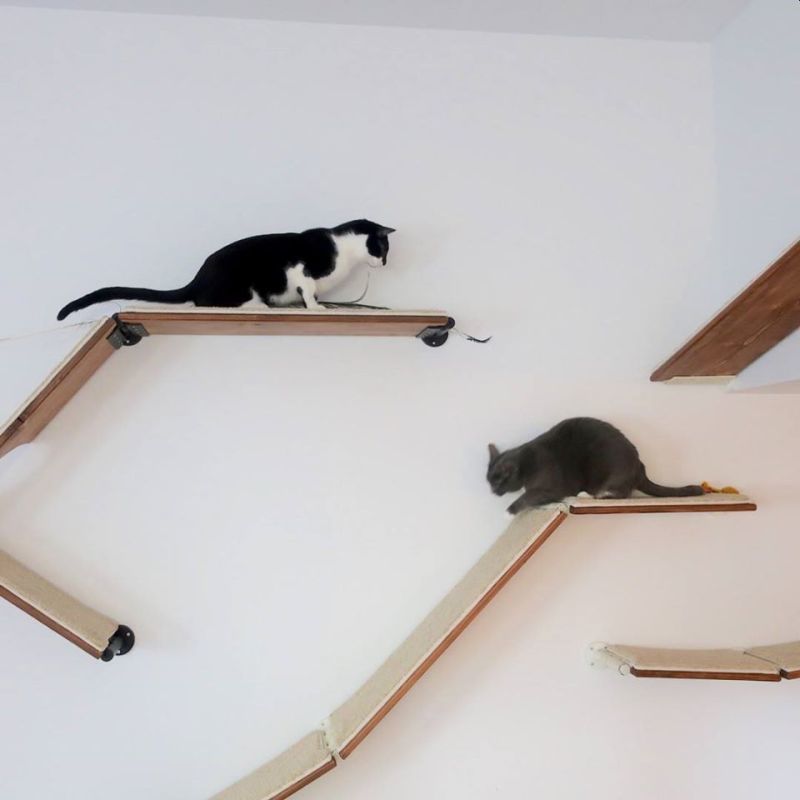 Modular Wall-Mounted Pet Furniture