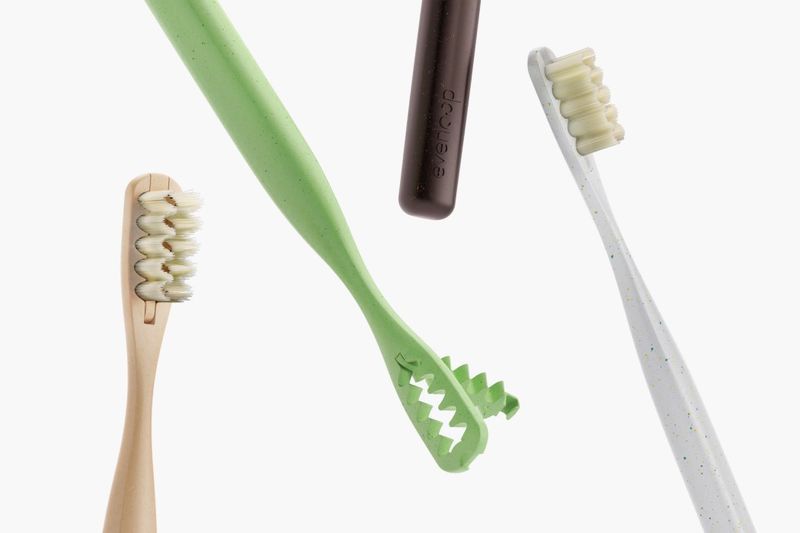 Replaceable Bristle Toothbrushes