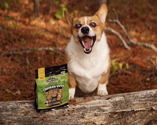 Protein-Packed Pet Treats