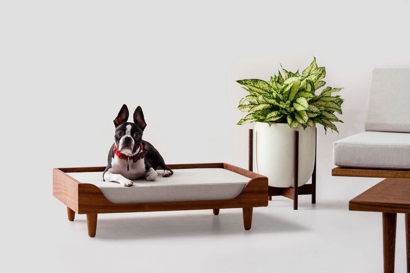 Ultra-Slick Modern Pet Beds