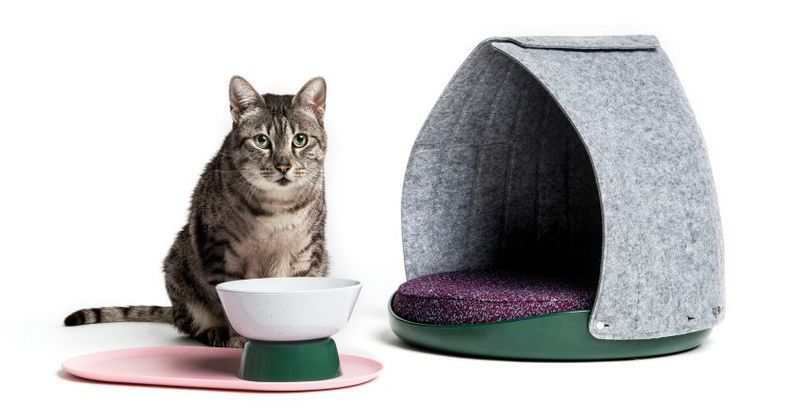 Pet Behavior-Inspired Products