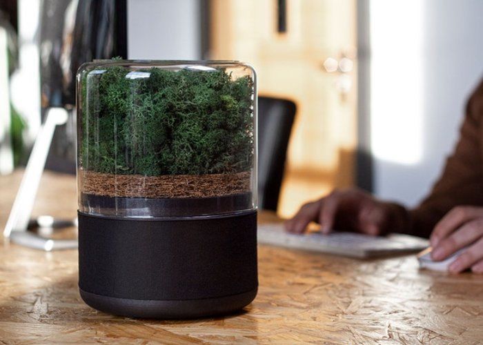Naturally Powered Air Purifiers