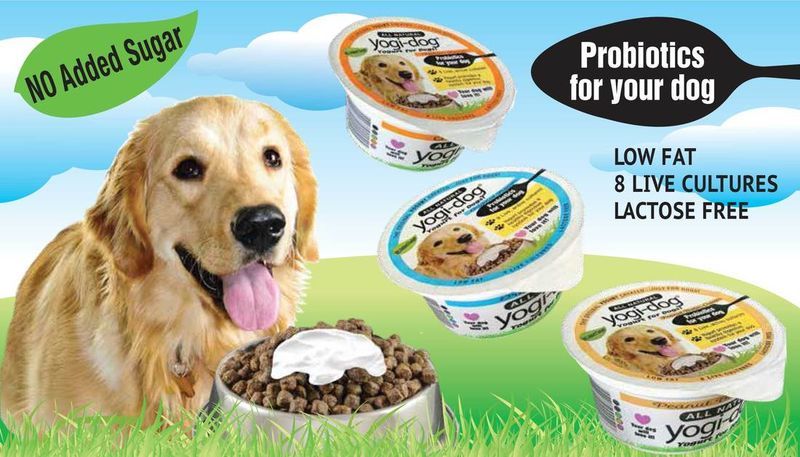 Dog-Friendly Probiotic Yogurts