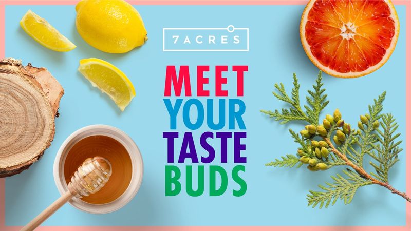 Flavor-Focused Cannabis Sites