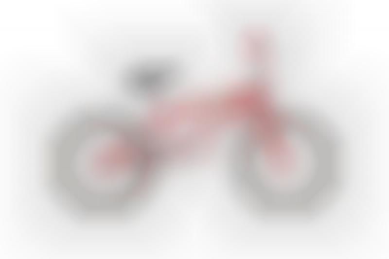 Logo-Clad BMX Streetwear Bikes