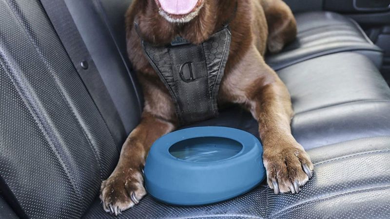travel dog bowl for car