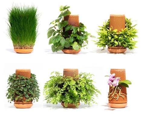 Reusable Hydroponic Planters