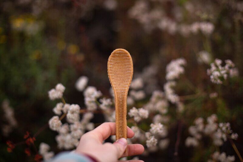 Grain-Based Compostable Spoons Main Gallery Image